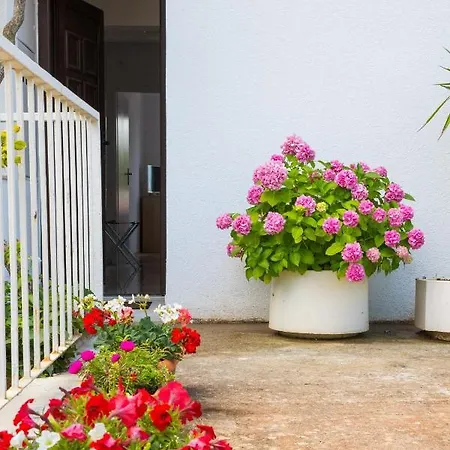 Daire My Relax Sea View