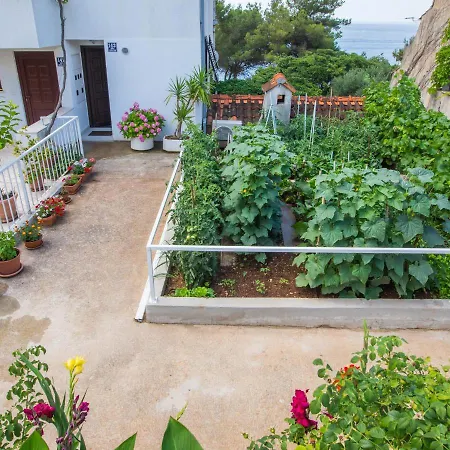 My Relax Sea View Apartment *